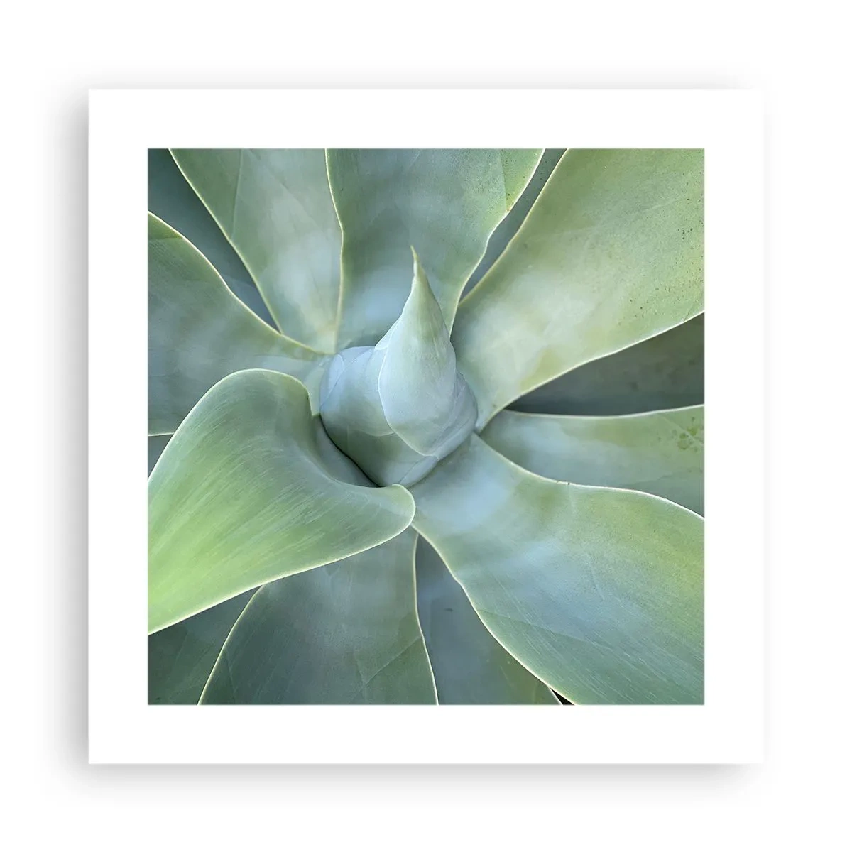 Poster - De geboorte van groen - 40x40 cm