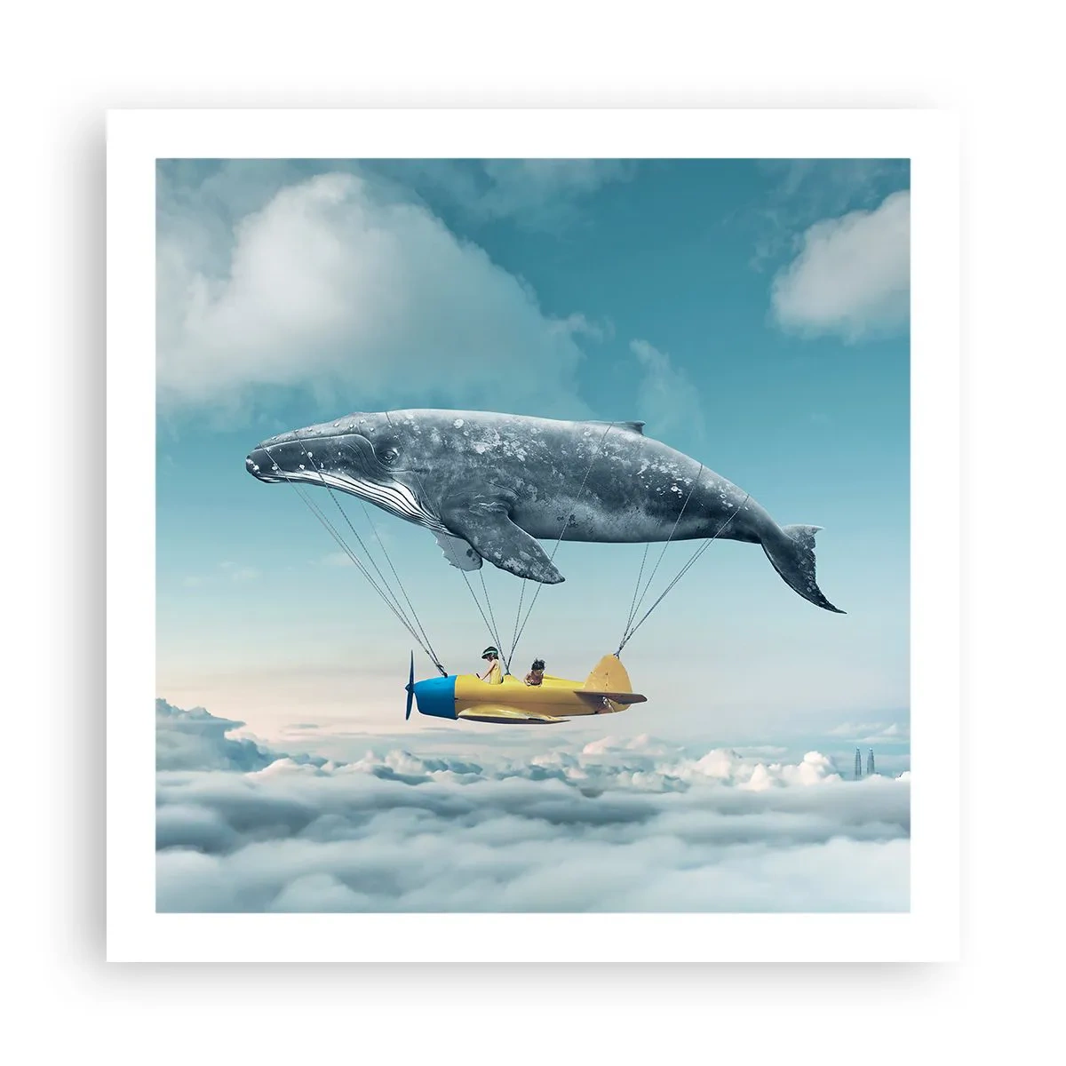 Poster - Waarom niet? - 60x60 cm