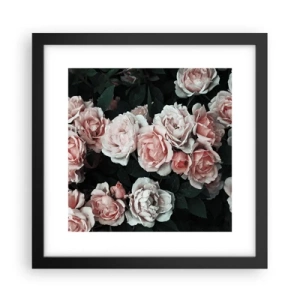 Poster in een zwarte lijst - Rozen ensemble - 30x30 cm