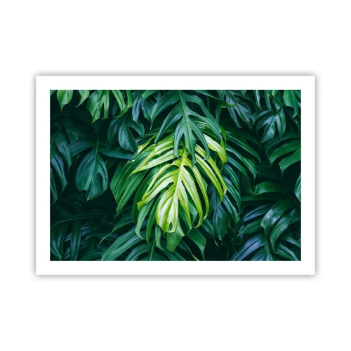 Poster - Dompel jezelf onder in de frisheid - 70x50 cm