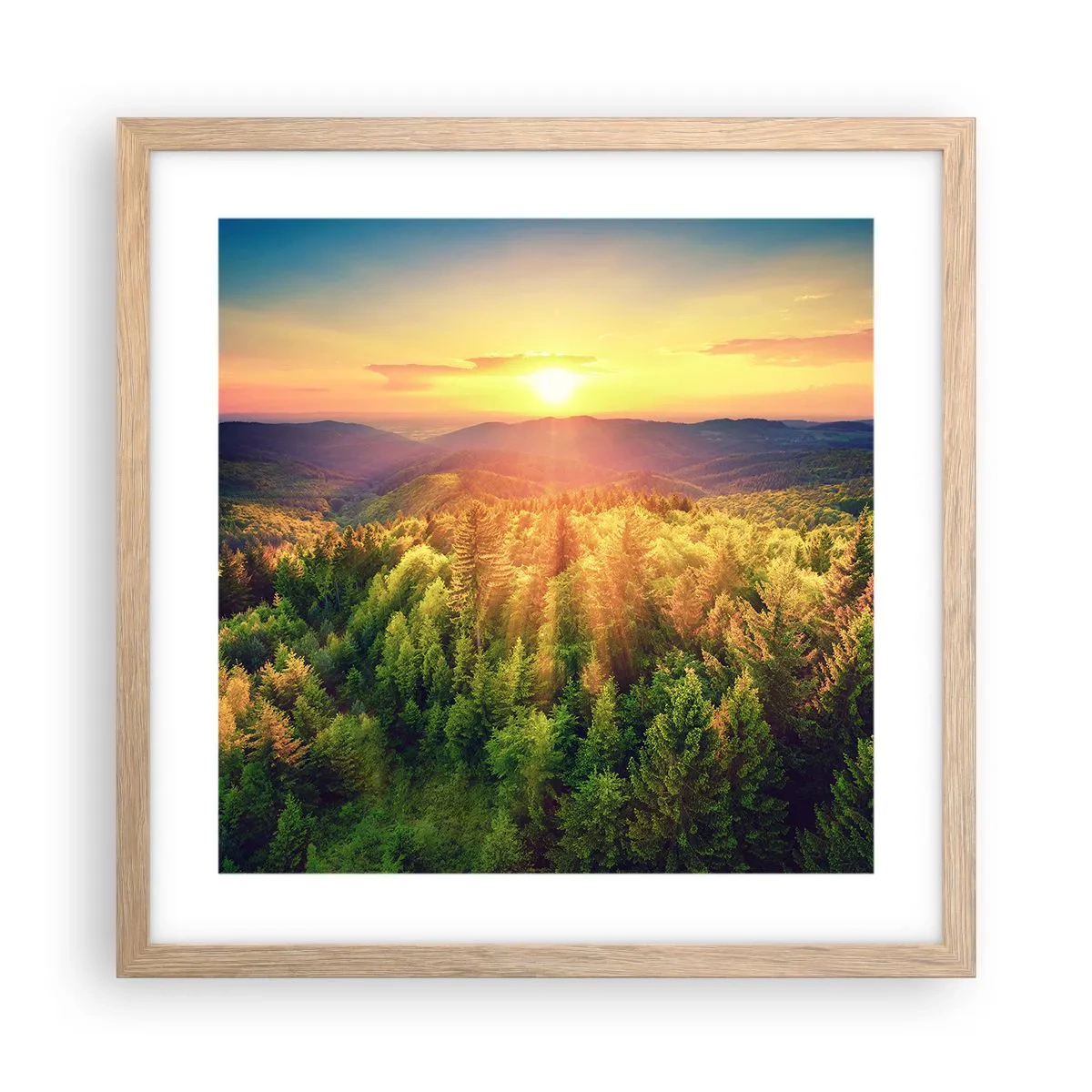 Een poster in een licht eiken lijst - Hoekpunten en topjes - 40x40 cm
