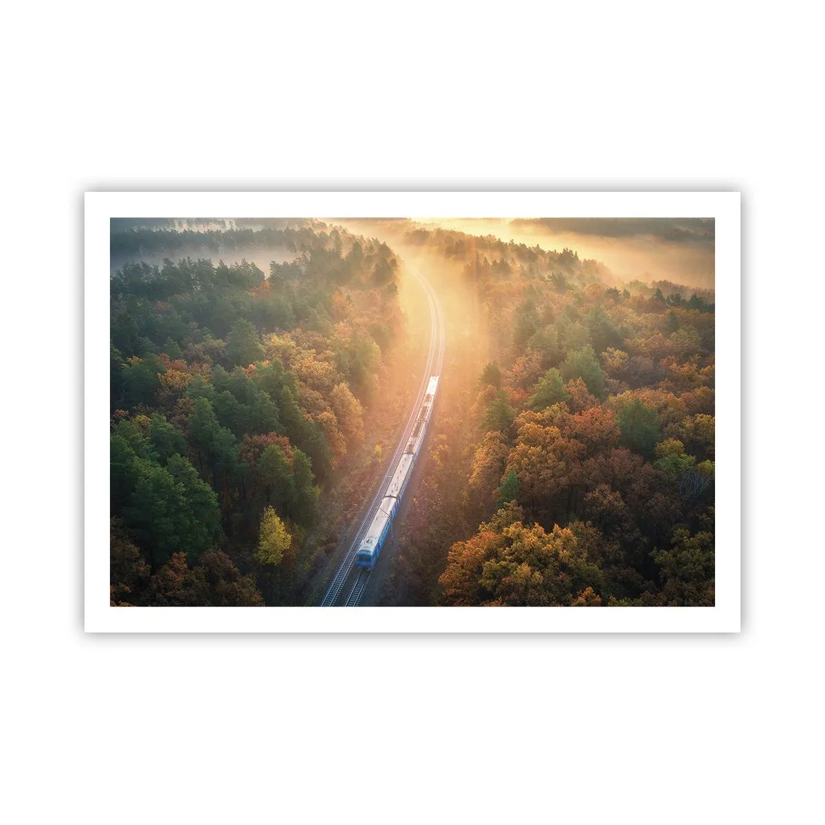 Poster - Herfst reis - 91x61 cm