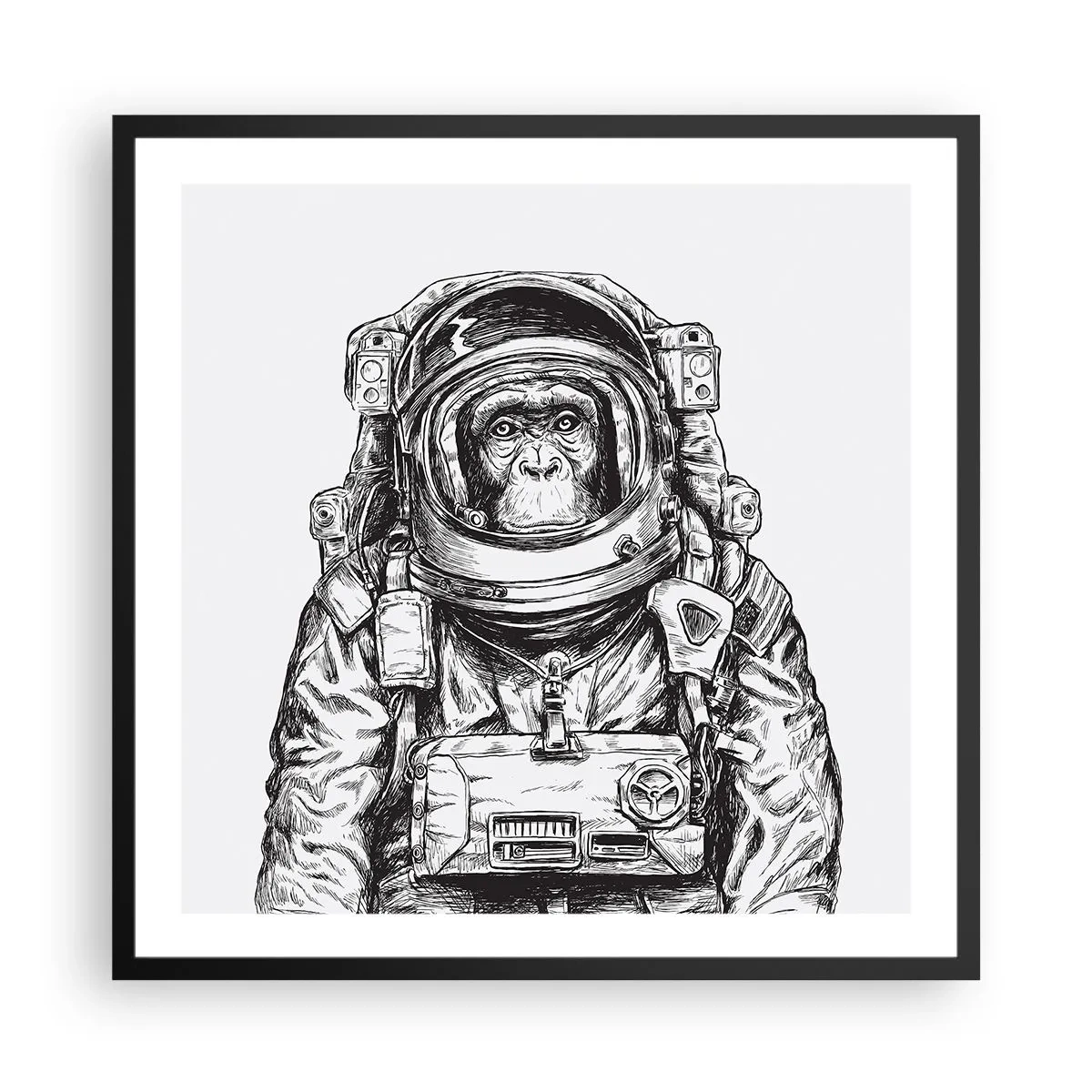 Poster in een zwarte lijst - Alternatieve evolutie - 60x60 cm