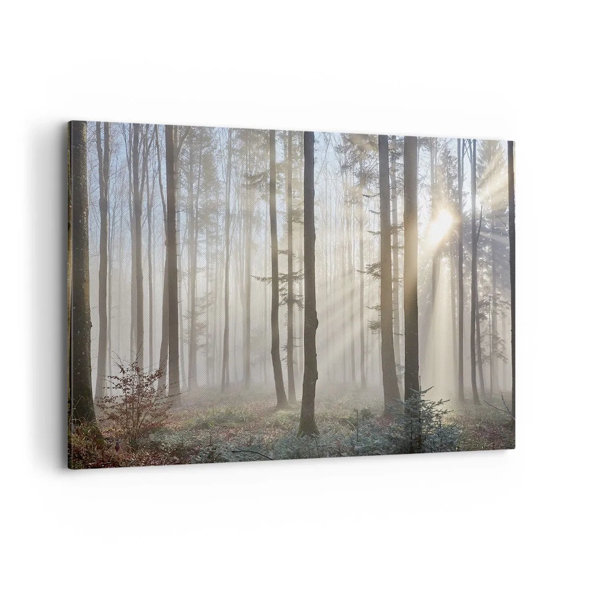 Schilderen op canvas - De mist werd ook wakker - 120x80 cm