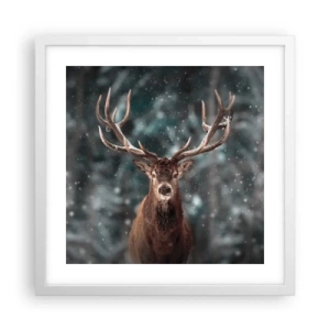 Poster in een witte lijst - Gekroond tot koning van het bos - 40x40 cm