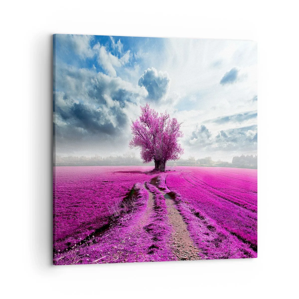 Schilderen op canvas - Heide - heilige plek - 50x50 cm