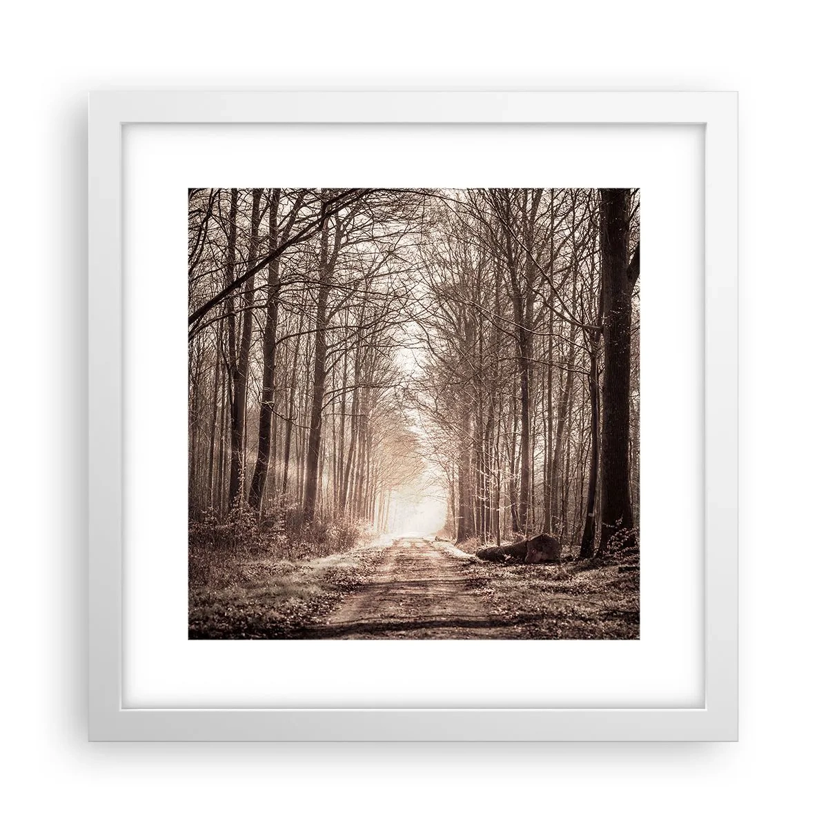 Poster in een witte lijst - Boskathedraal - 30x30 cm