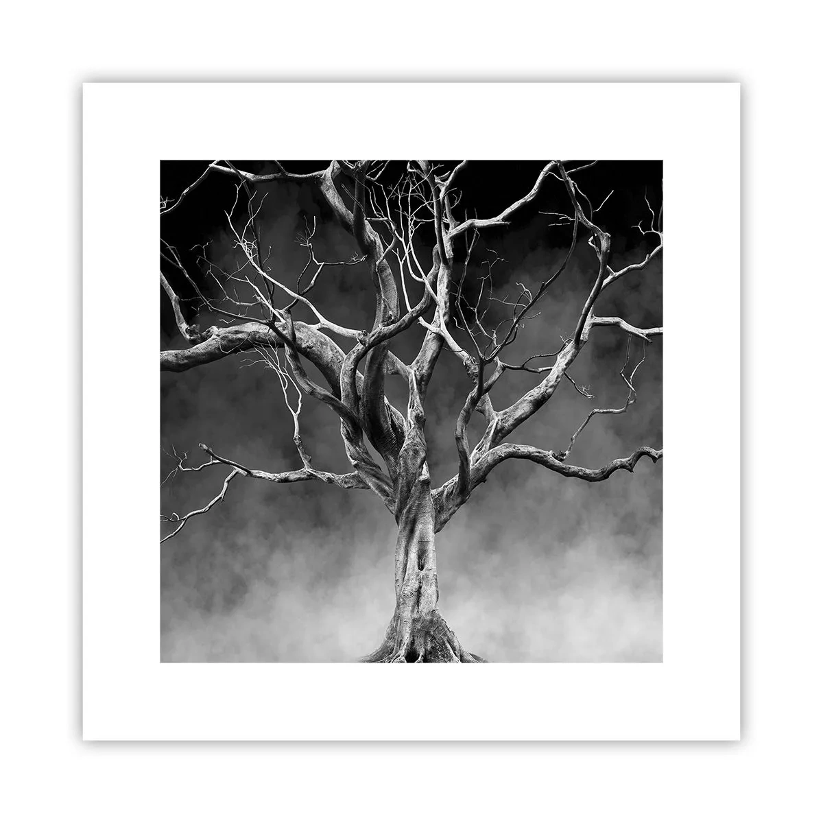 Poster - Oorspronkelijk en heilig - 30x30 cm