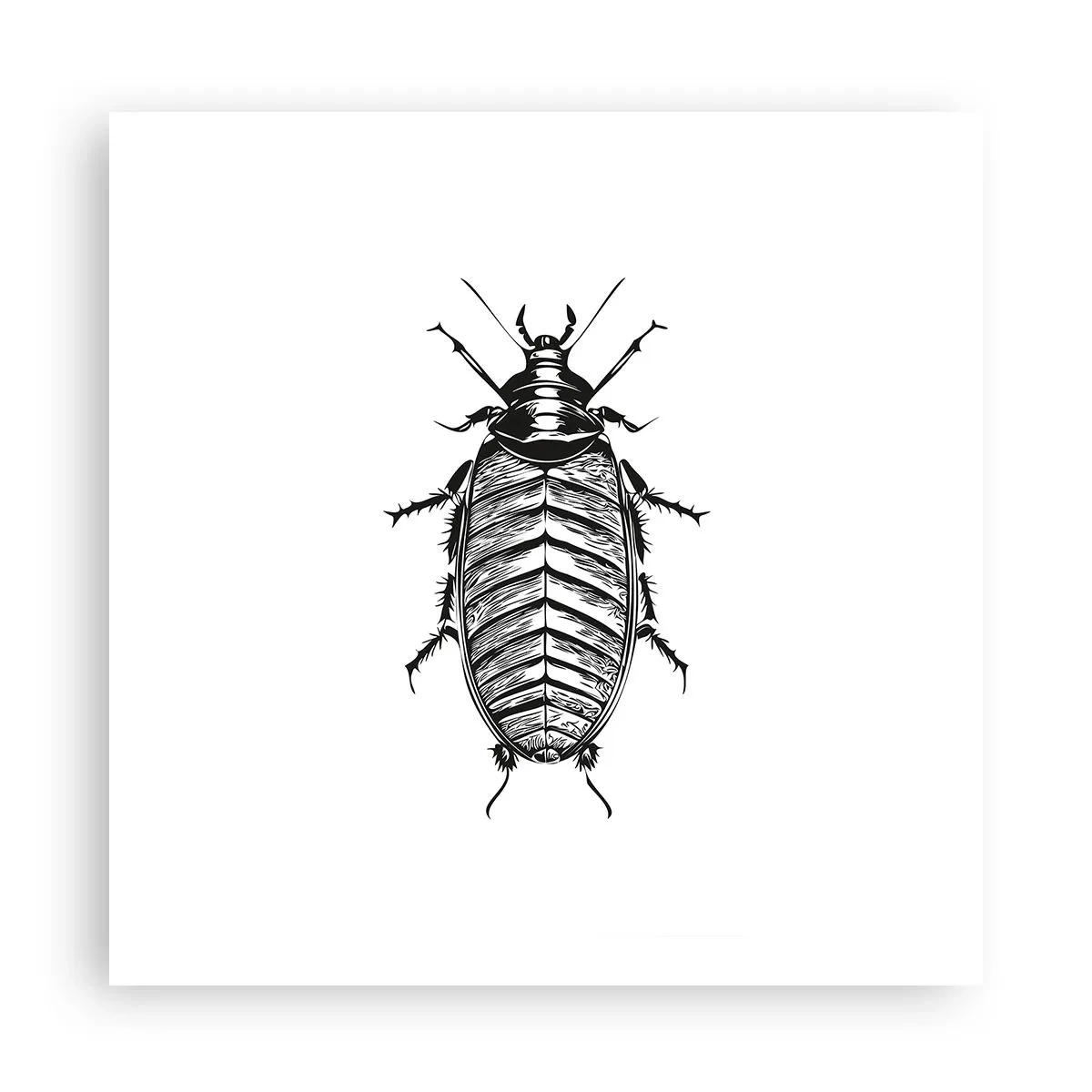 Poster - Wat een exemplaar! - 60x60 cm