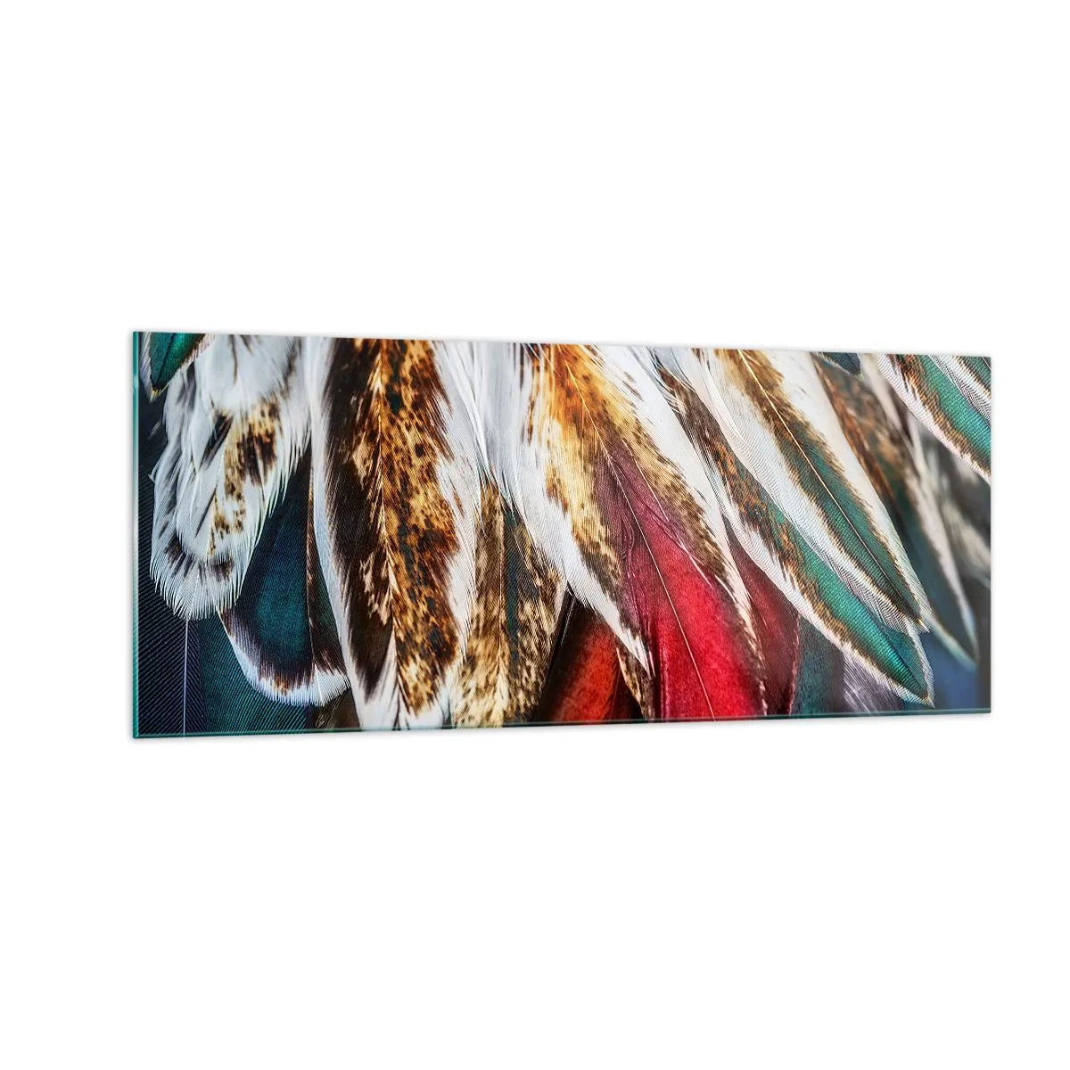 Schilderen op glas - Geheimen van de vlucht - 100x40 cm