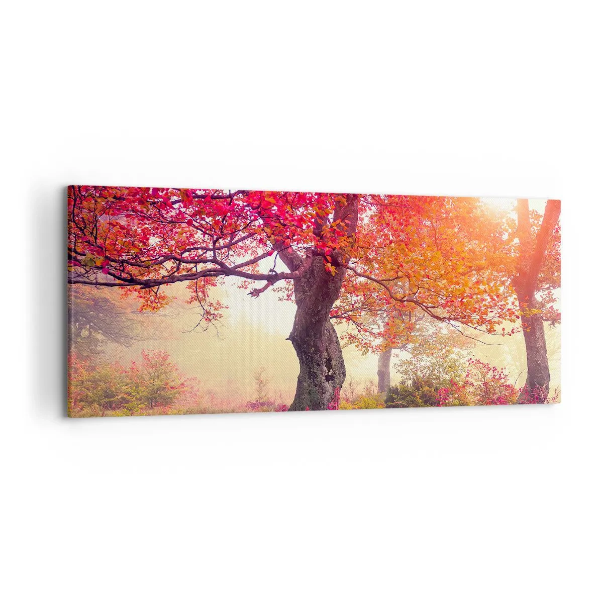 Schilderen op canvas - Bloeiende razernij - 120x50 cm
