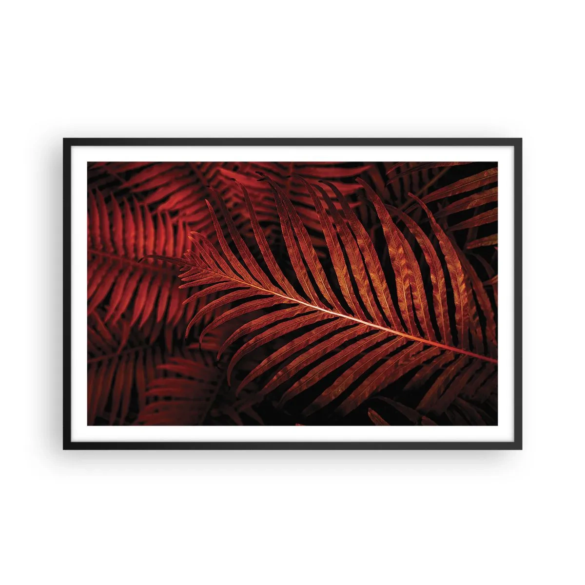 Poster in een zwarte lijst - De hitte van het leven - 91x61 cm