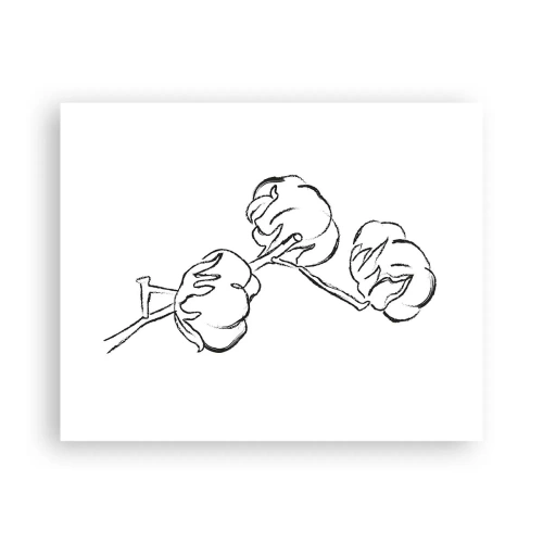 Poster - Katoen dons - 50x40 cm