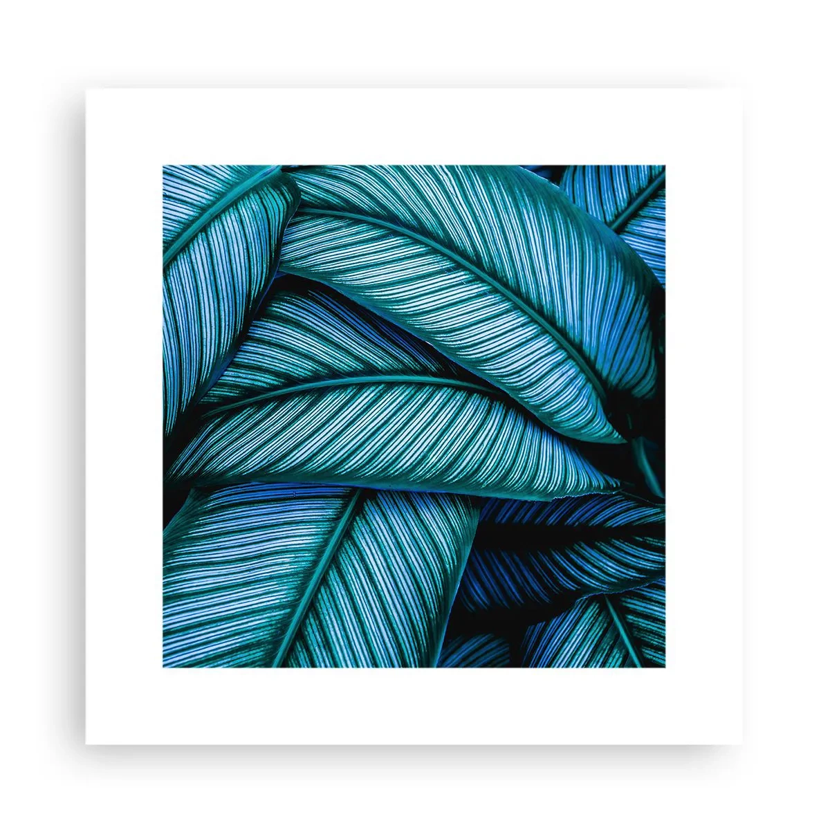 Poster - Levens lijnen - 30x30 cm