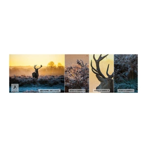 Fotobehang Monster Premium Canvas - Gekroond op zijn landgoed - Landschap, Dieren, Hert - 100x30 cm