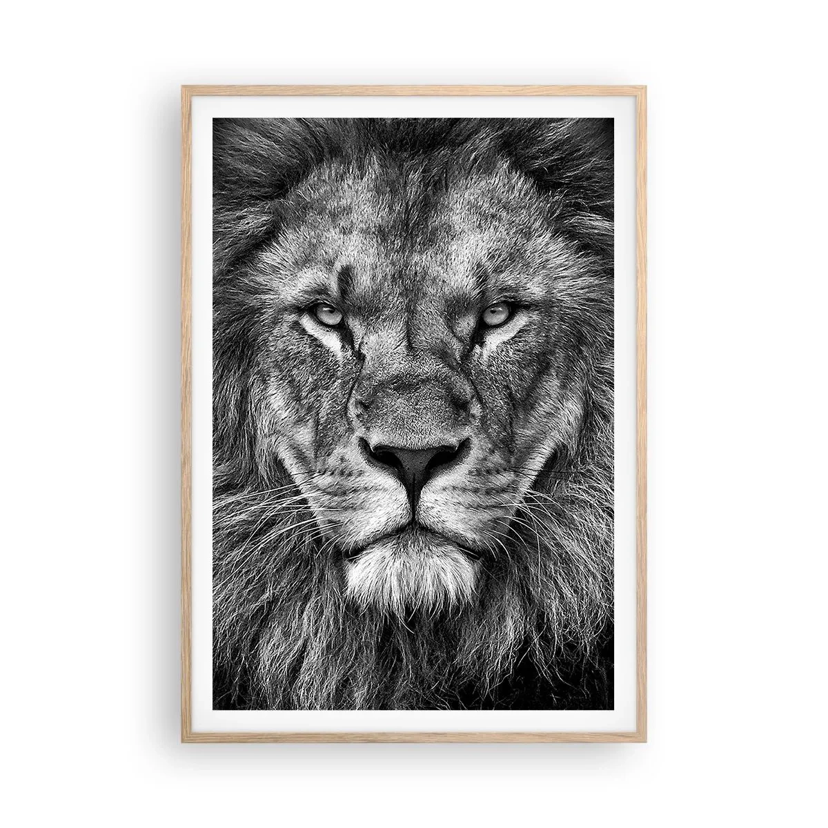 Een poster in een licht eiken lijst - In een kroningskleed - 70x100 cm