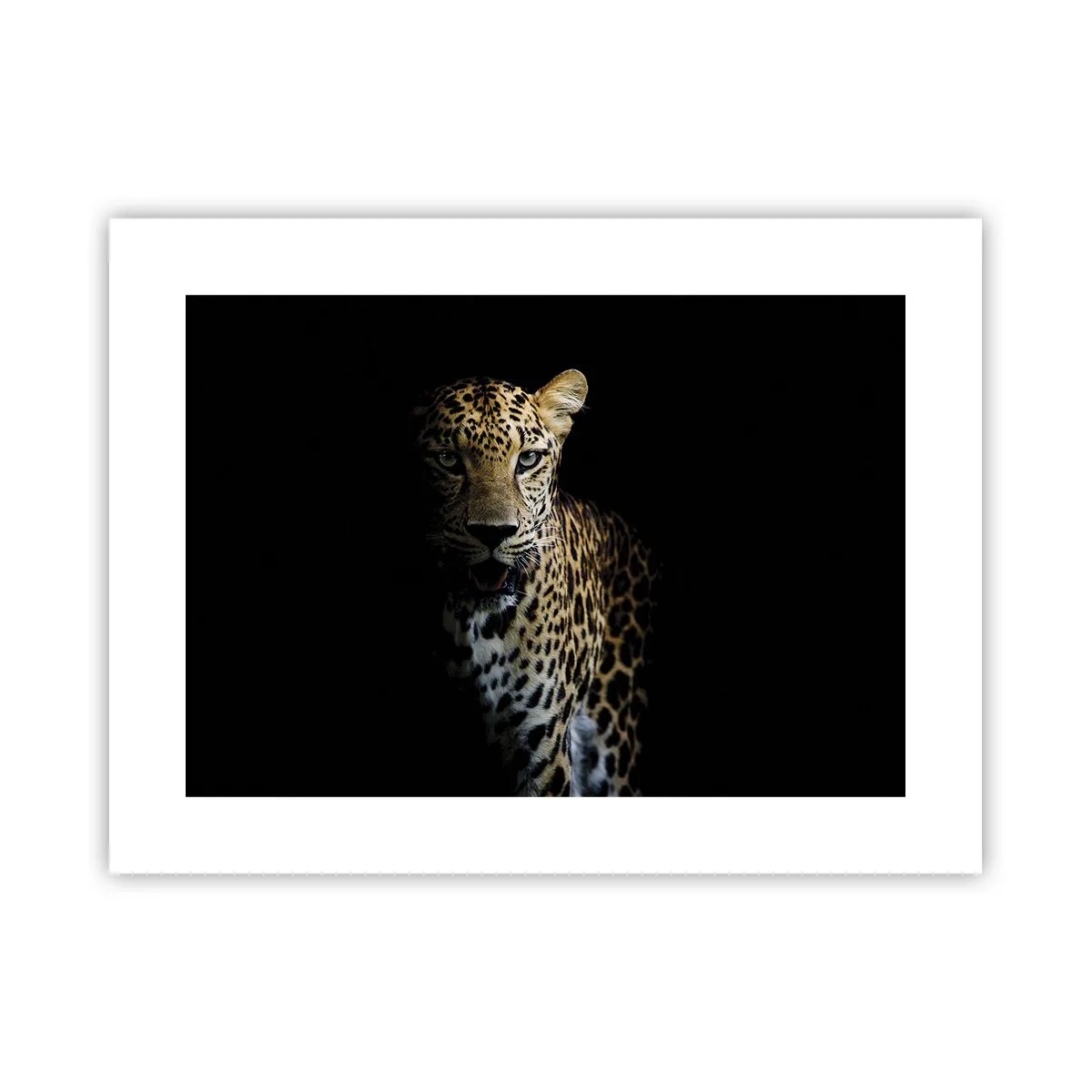 Poster - Donkere schoonheid - 40x30 cm