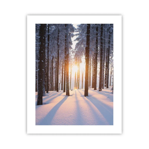 Poster - Duidelijk in zwart-wit - 40x50 cm