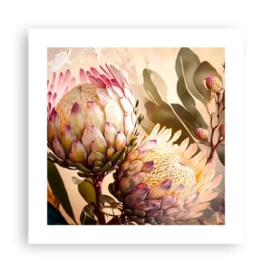 Poster - Teeder omarmd - 40x40 cm