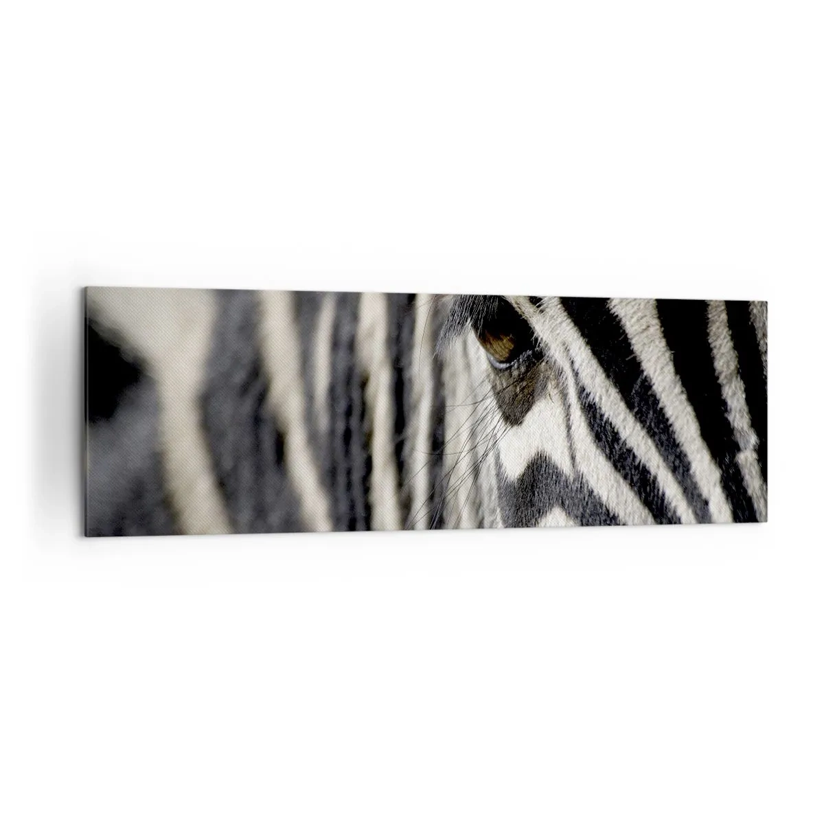 Schilderen op canvas - Gestreept portret - 160x50 cm