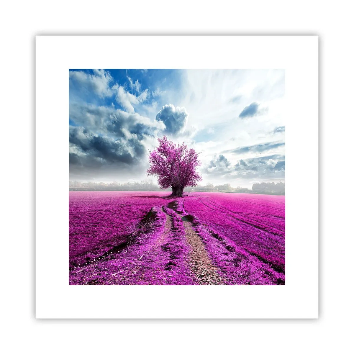Poster - Heide - heilige plek - 30x30 cm