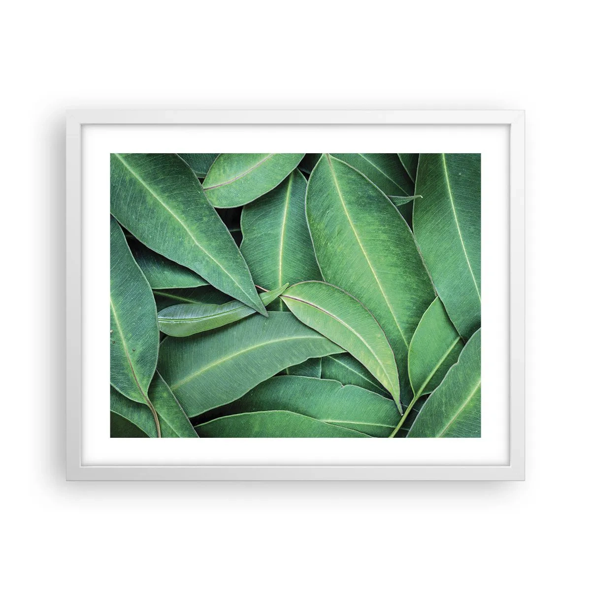 Poster in een witte lijst - Sappig en fris - 50x40 cm