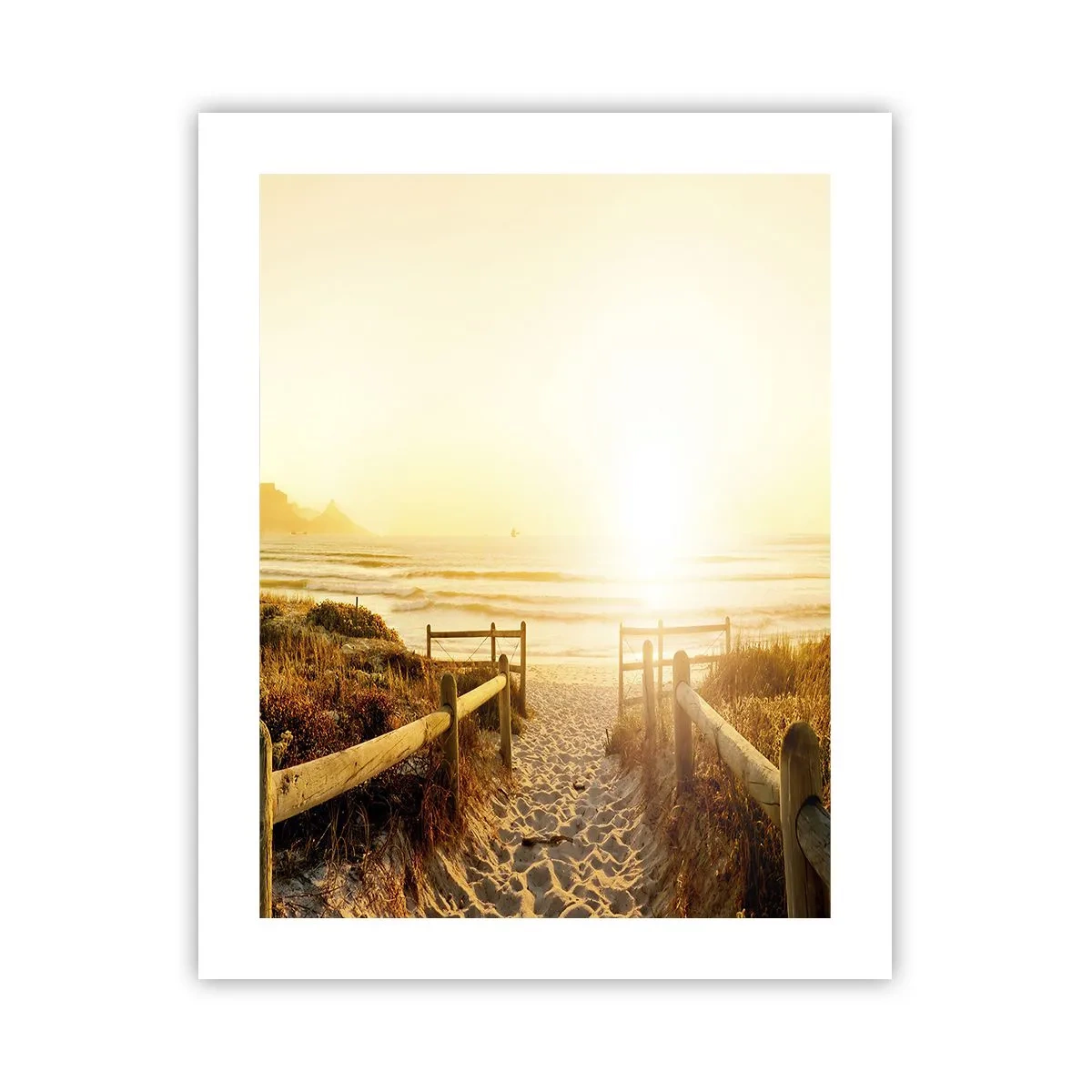 Poster - Over het duin, richting de zon - 40x50 cm