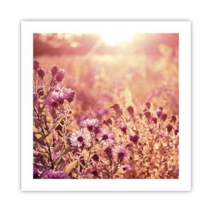 Poster - Voordat de zomer voorbij is - 50x50 cm