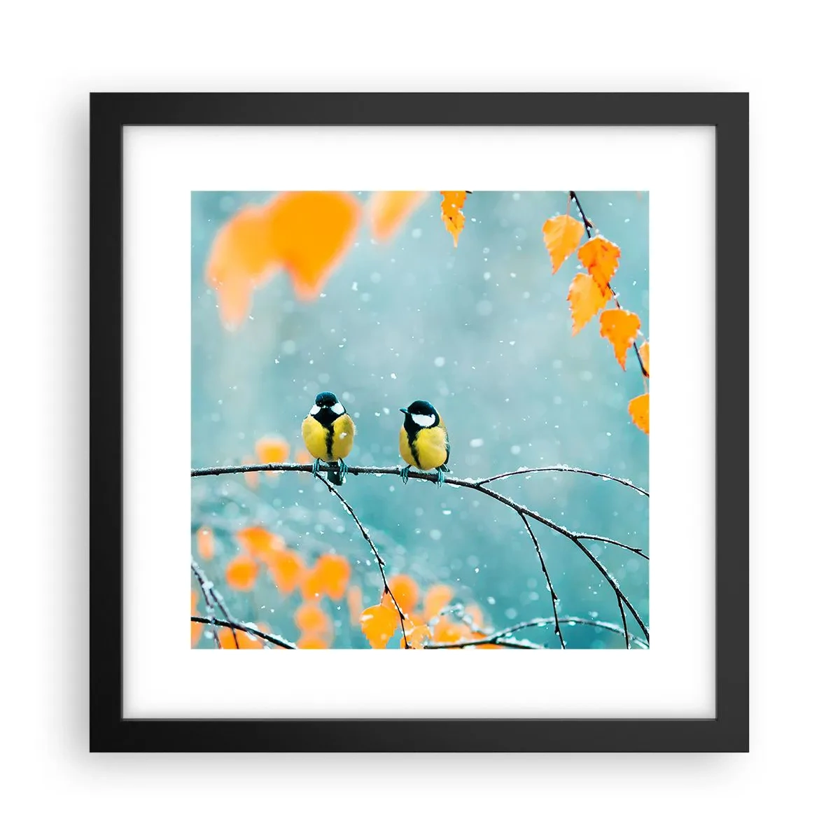 Poster in een zwarte lijst - Vogelroddel - 30x30 cm