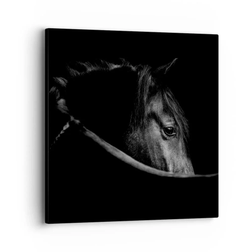 Schilderen op canvas - Zwarte Prins - 40x40 cm