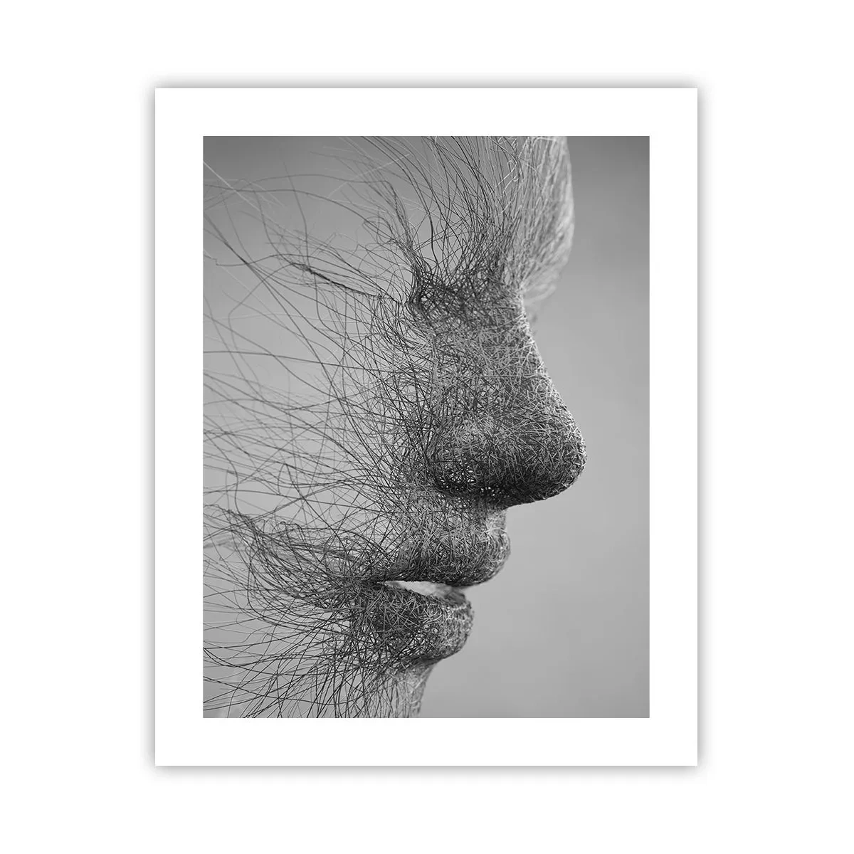 Poster - De geest van de wind - 40x50 cm