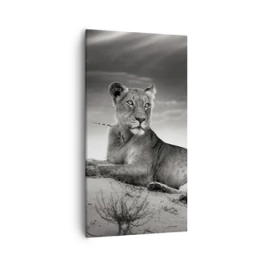 Schilderen op canvas - De koningin van de woestijn rust - 55x100 cm