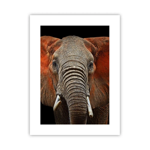 Poster - Ik ben wild, en jij? - 30x40 cm