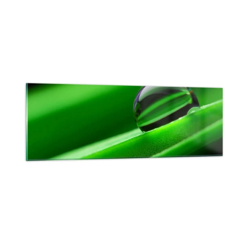 Schilderen op glas - Leven van dichtbij - 90x30 cm