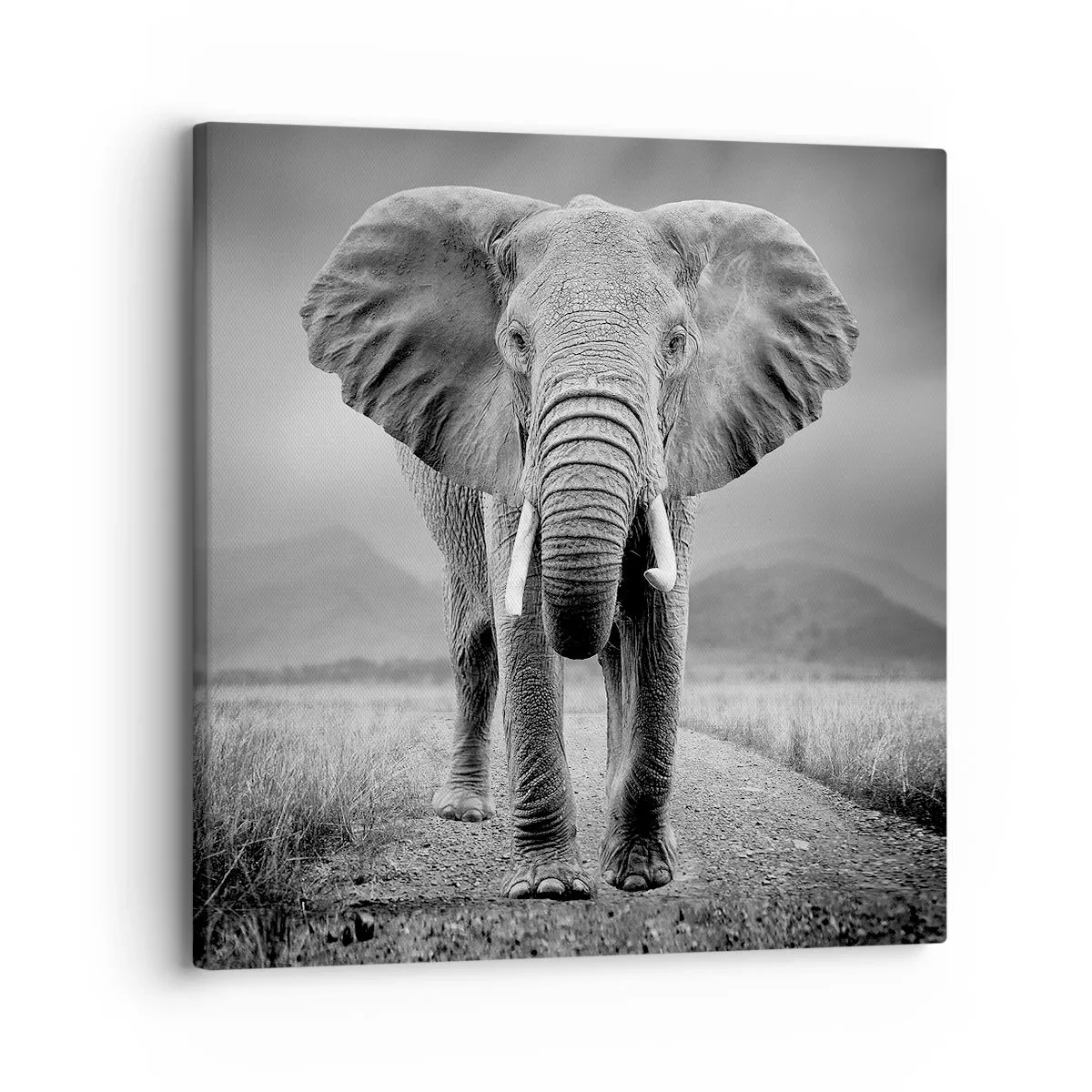 Schilderen op canvas - De gastheer heet je welkom - 30x30 cm