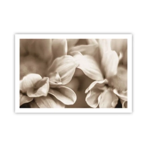 Poster - Zo zacht als een glimlach - 91x61 cm