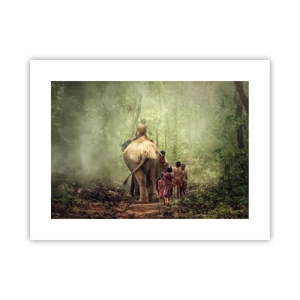 Poster - Nieuw Jungle Boek - 40x30 cm