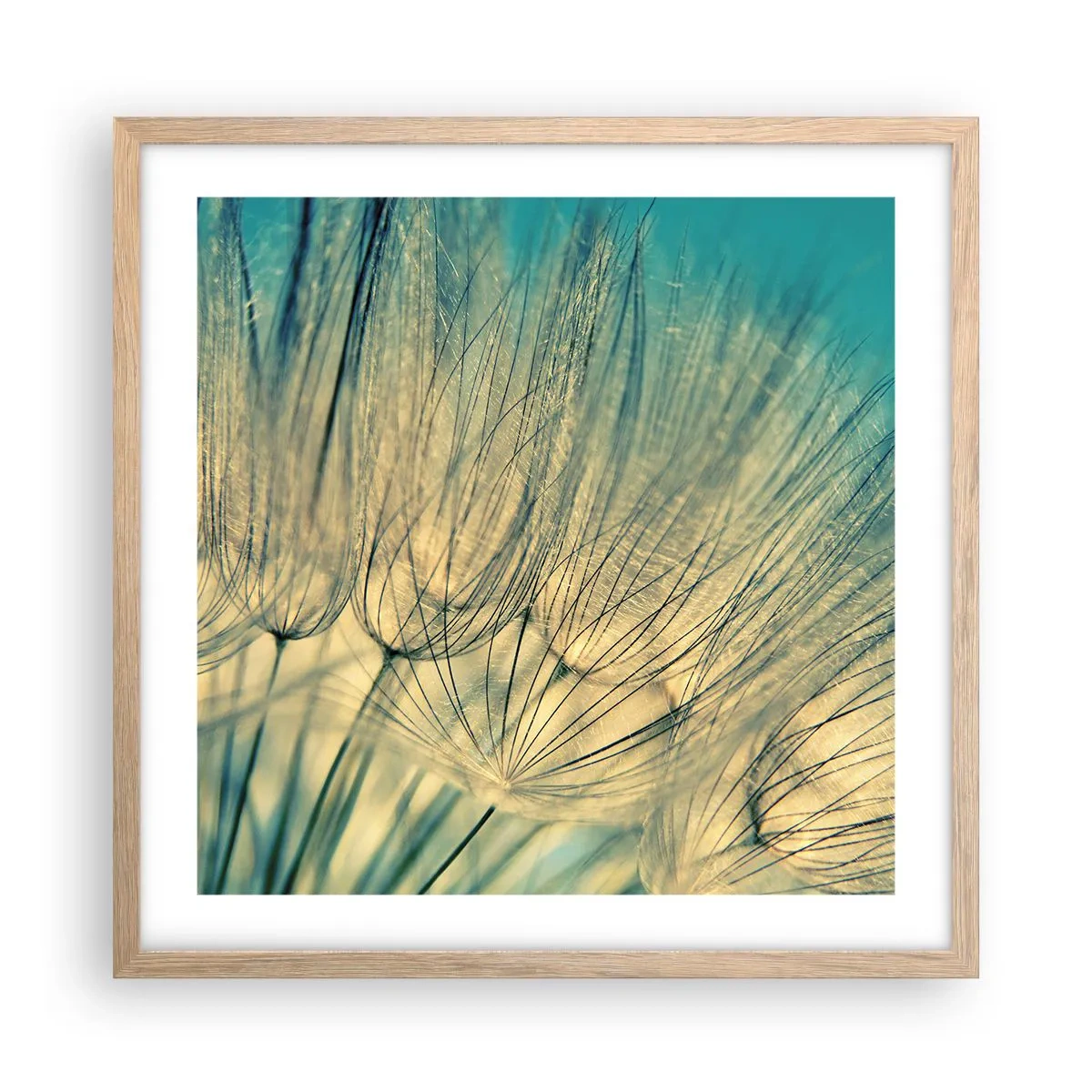 Een poster in een licht eiken lijst - In afwachting van de wind - 50x50 cm