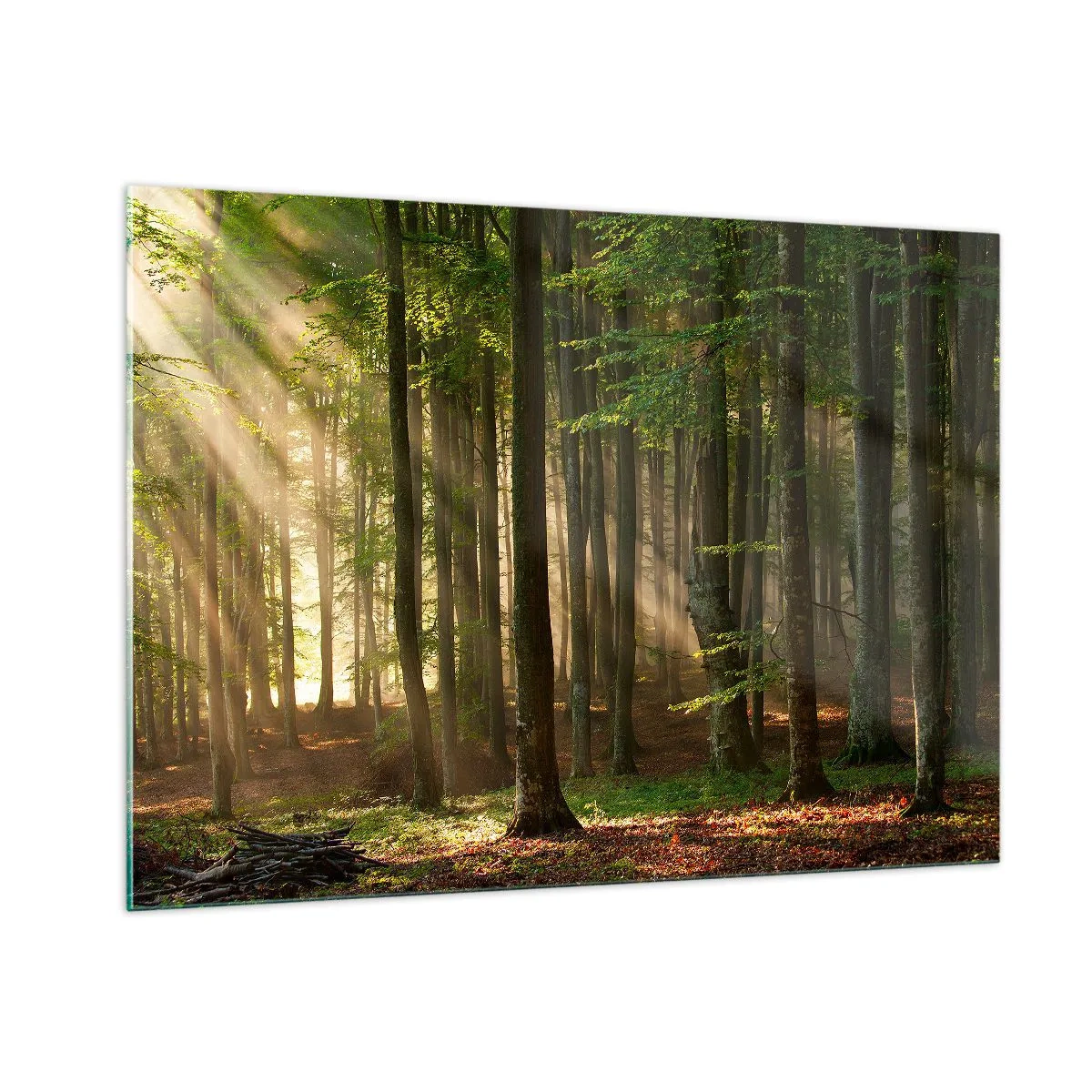 Schilderen op glas - Stralend op een lentemorgen - 100x70 cm