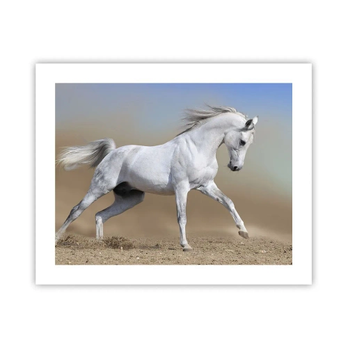 Poster - Het mooiste Arabische sprookje - 50x40 cm