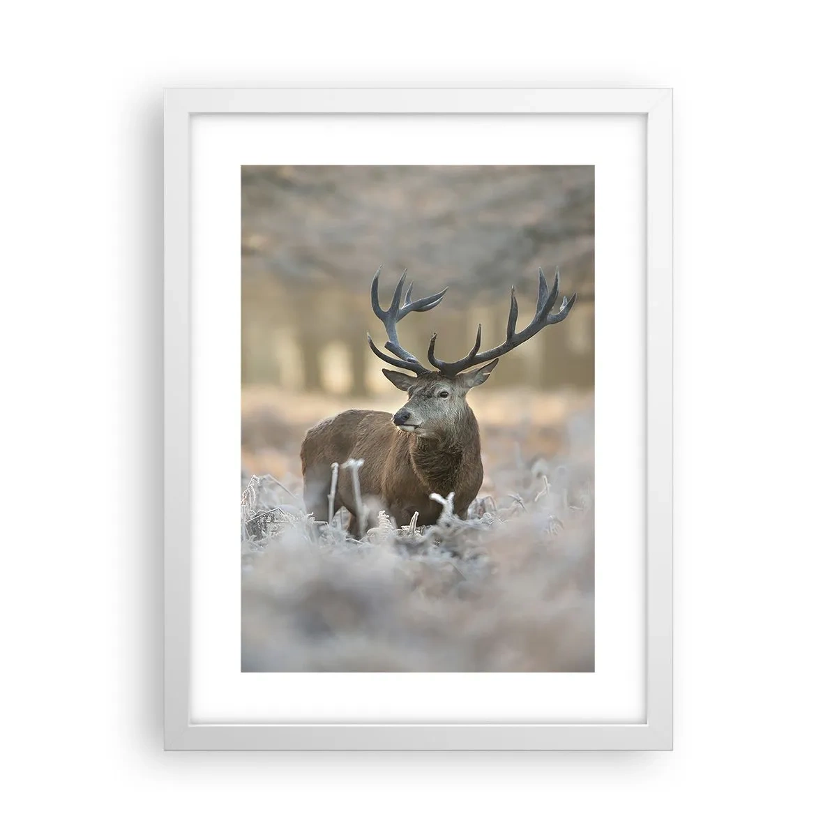 Poster in een witte lijst - Een frisse ochtend - 30x40 cm