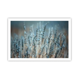 Poster - Geurig korenveld - 91x61 cm