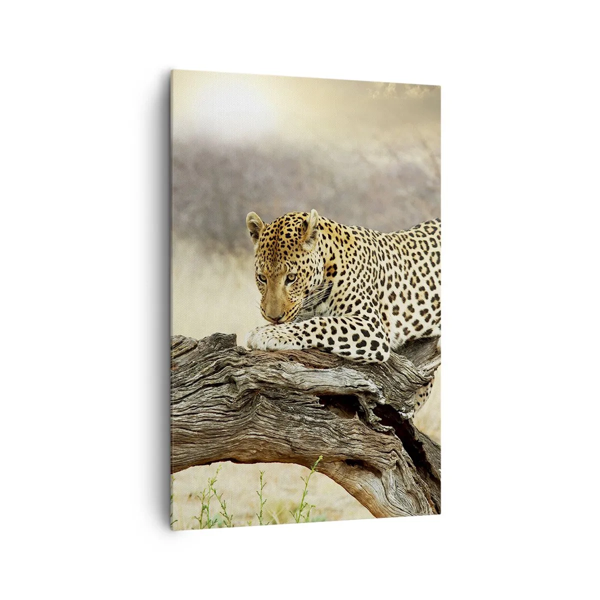 Schilderen op canvas - Ik ga mijn eigen weg - 80x120 cm