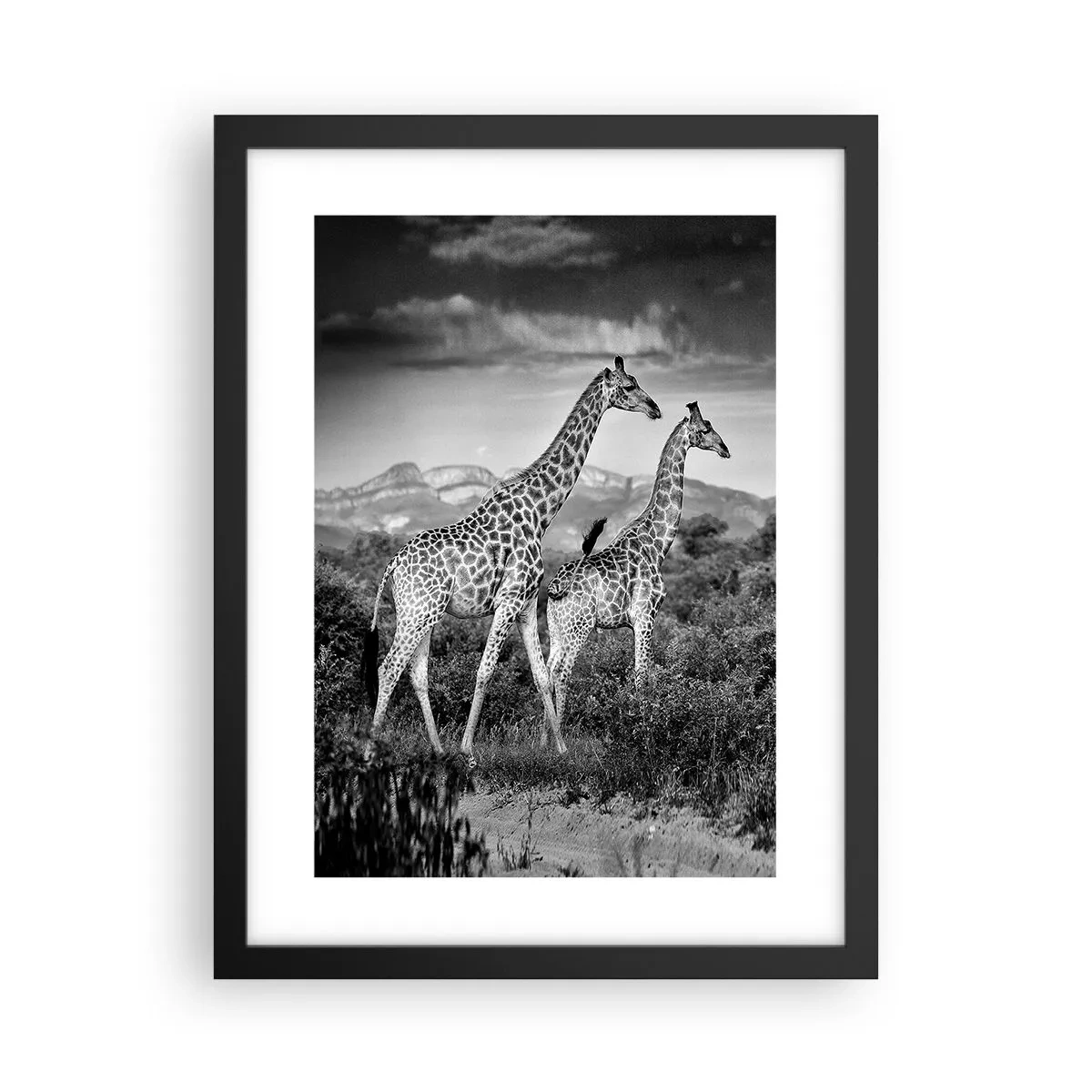 Poster in een zwarte lijst - Hoge sferen in Afrika - 30x40 cm