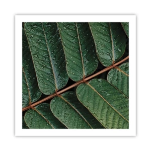 Poster - In een groen ritme - 60x60 cm