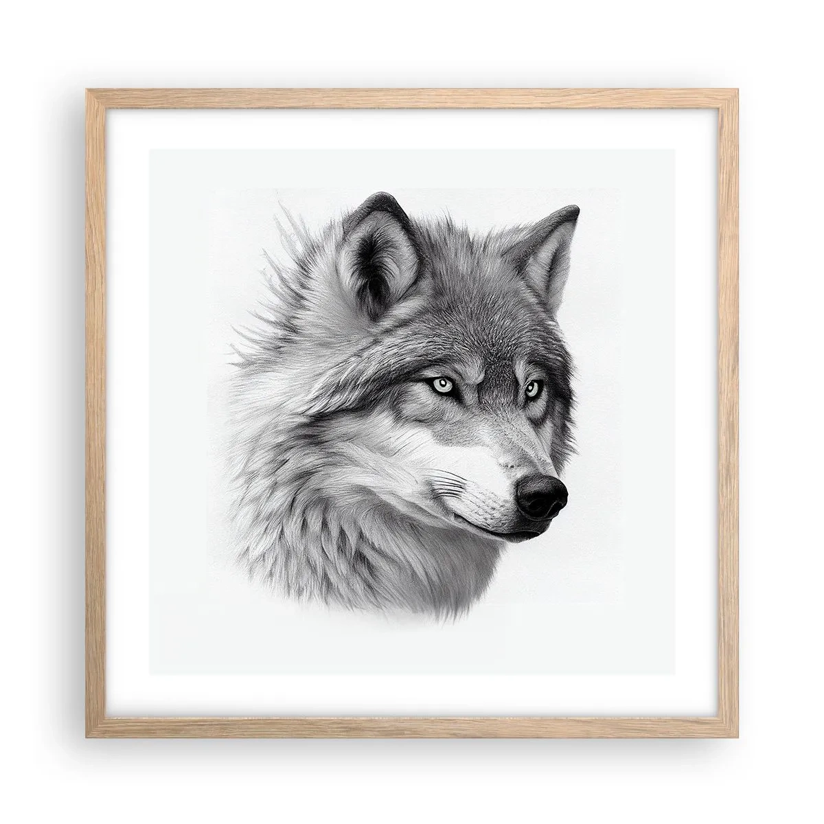 Een poster in een licht eiken lijst - Alfa – zonder twijfel - 50x50 cm