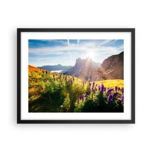 Poster in een zwarte lijst - Het geheime leven van kruiden - 50x40 cm