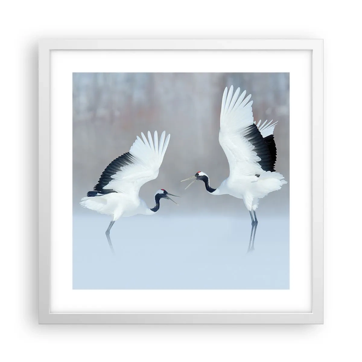 Poster in een witte lijst - Dans in de mist - 40x40 cm