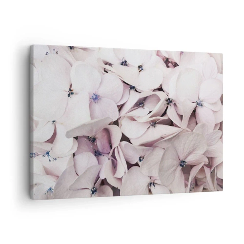 Schilderen op canvas - Delicate witte hortensia's in pasteltinten - 70x50cm - In een vloed van bloemen - Moderne wanddecoratie voor woonkamer en slaapkamer ARTTOR