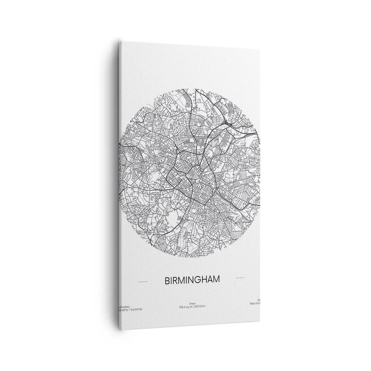 Schilderen op canvas - Anatomie van Birmingham - 55x100 cm